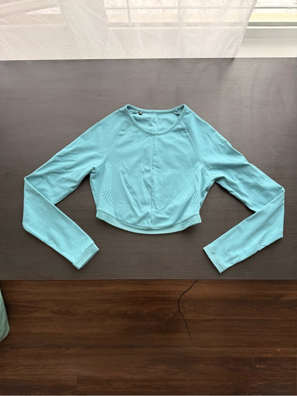 Gymshark Aqua Blue Long-Sleeve Crop Top - Womens